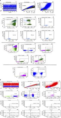 CD4+CD25+CD127-Foxp3+ and CD8+CD28- Tregs in Renal Transplant Recipients: Phenotypic Patterns, Association With Immunosuppressive Drugs, and Interaction With Effector CD8+ T Cells and CD19+IL-10+ Bregs